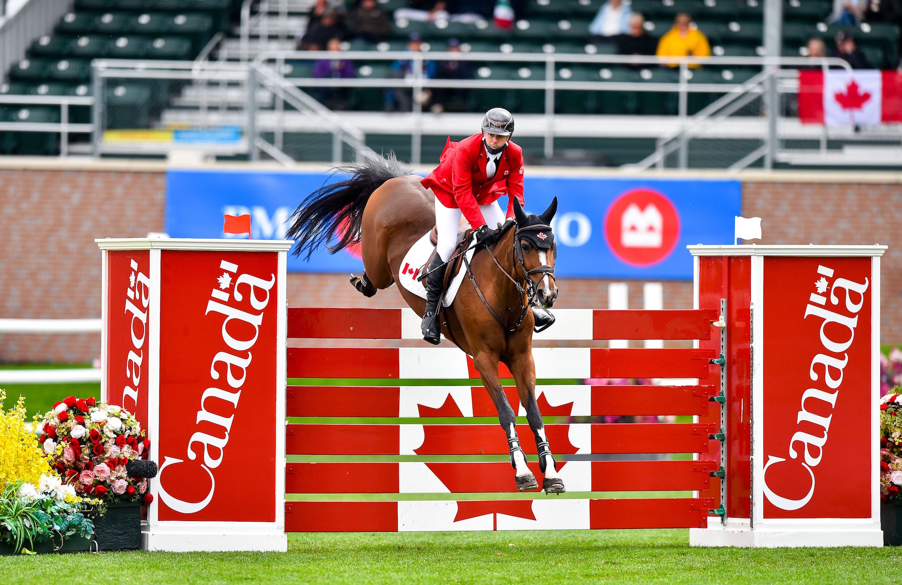 Canada Wins BMO Nations' Cup at Spruce Meadows 'Masters
