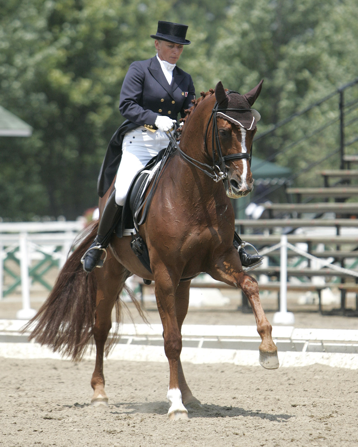 Quebec's Evi Strasser Wins Grand Prix at Blainville Dressage International